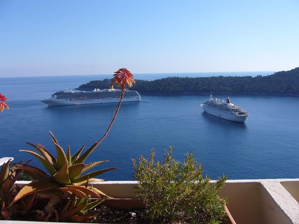 Apartment Viola Dubrovnik Rum bild